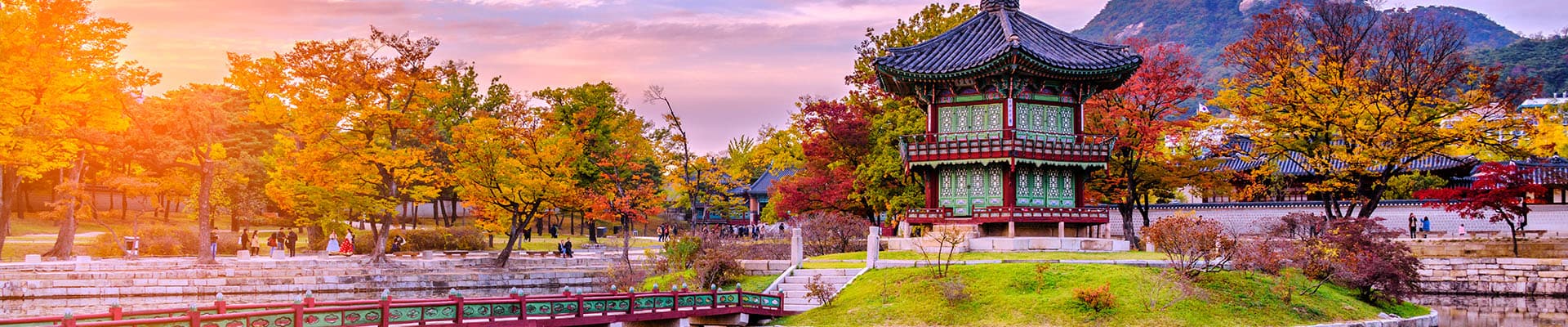 Trips South Korea
